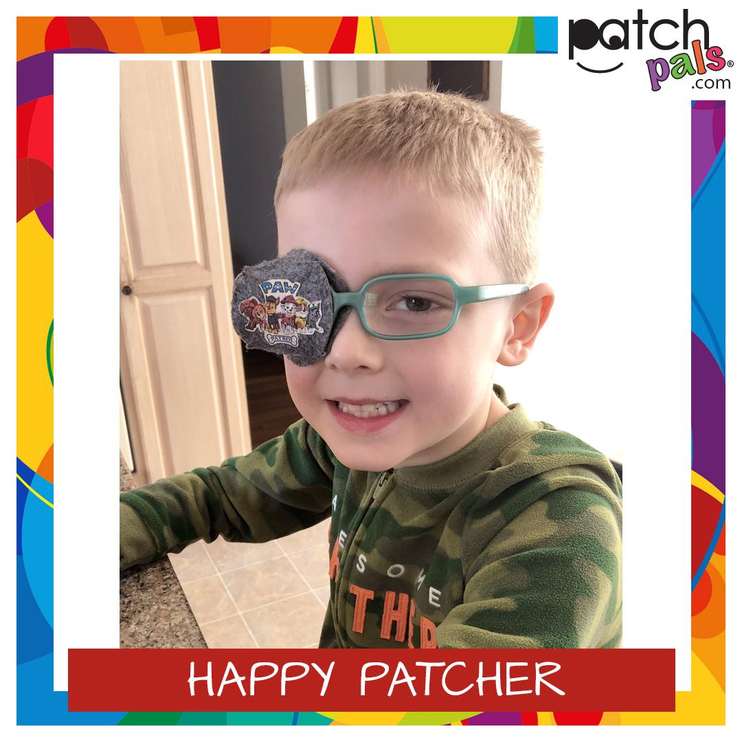 Paw Patcher