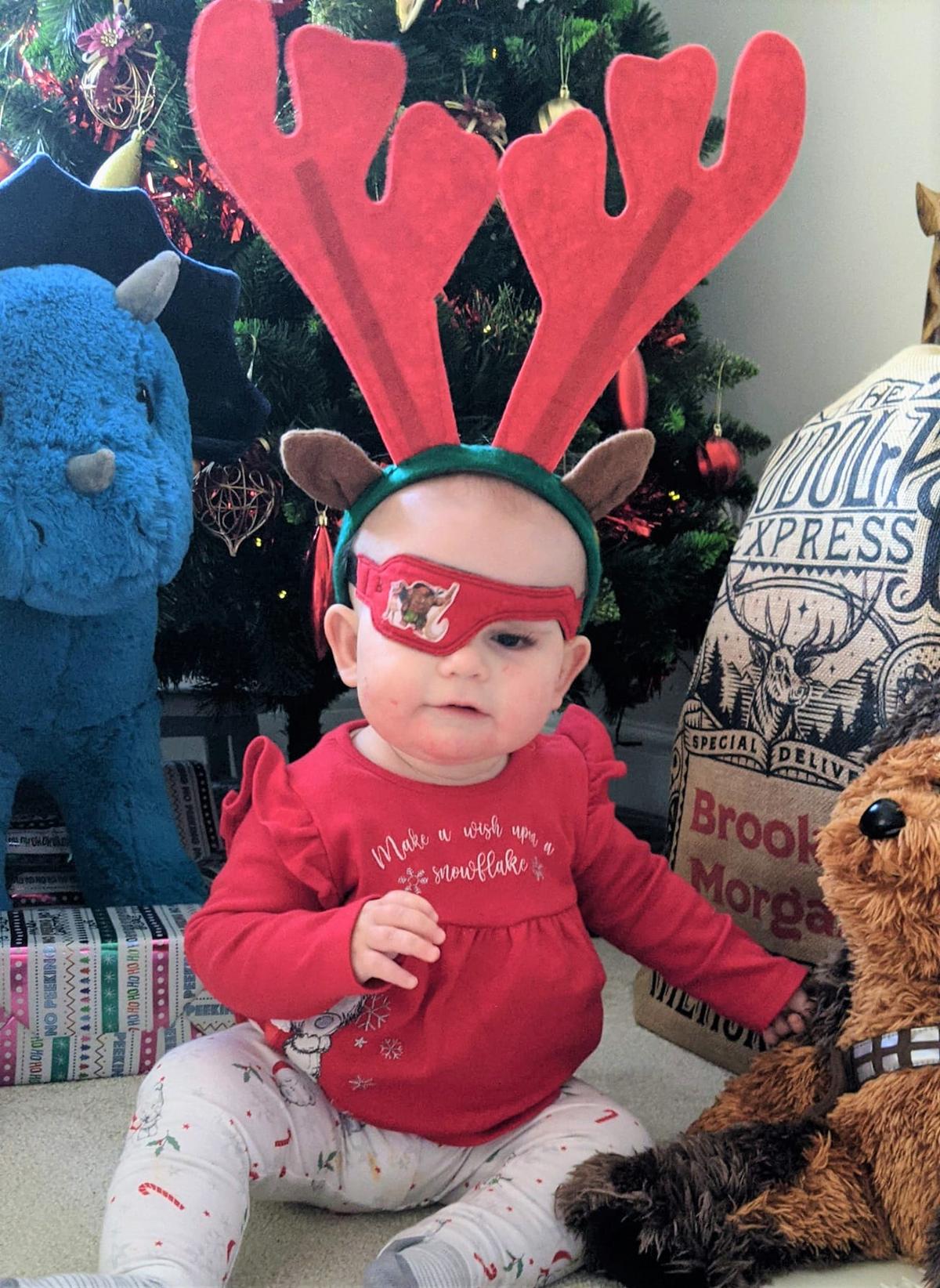 Hawaiian Reindeer